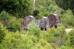 Medieval Wagons - 6d7887