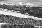 Holcombe Moor in Winter40D6290bw