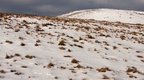 Snow on Hills - 40D6235