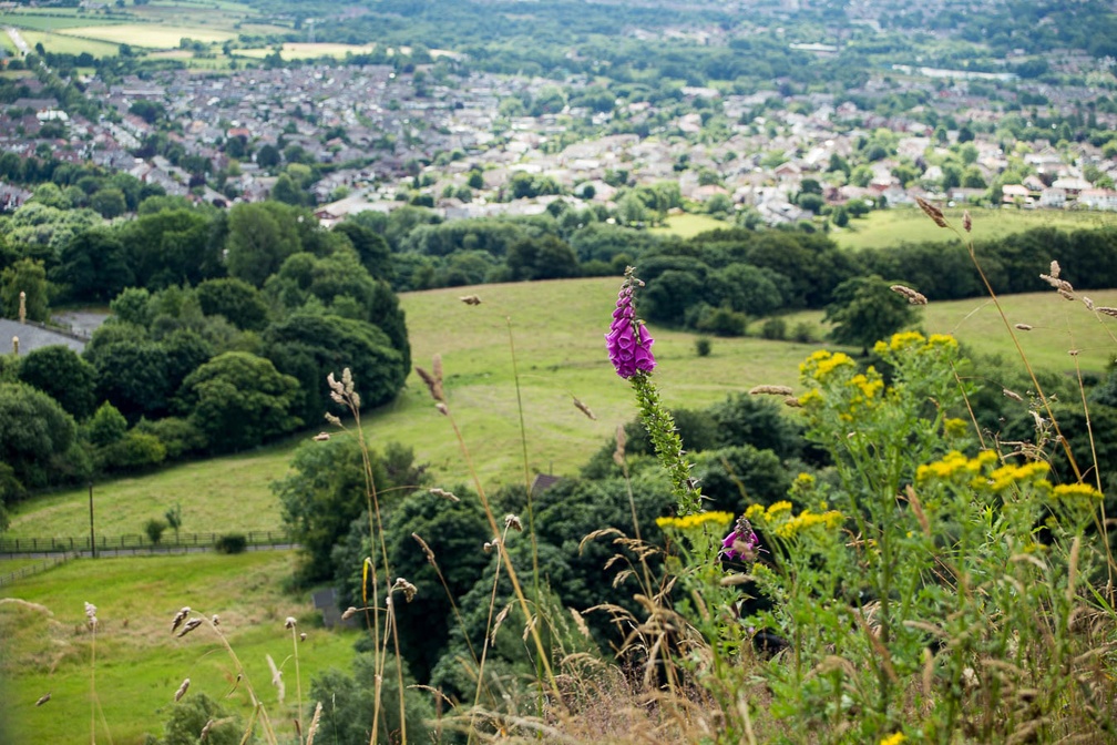 View from Holcombe Hill - 6d-6725