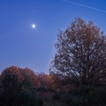 Heathland Autumn Dusk Twilight - pk112182