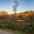Autumnal Golden Hour over Pond - pk112078