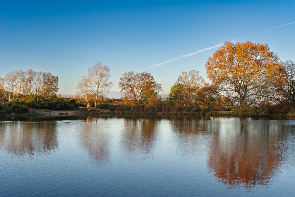Autumnal Golden Hour over Pond - pk112047