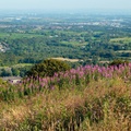 Holcombe Hill View - 6d4414