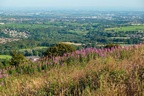 Holcombe Hill View - 6d4414