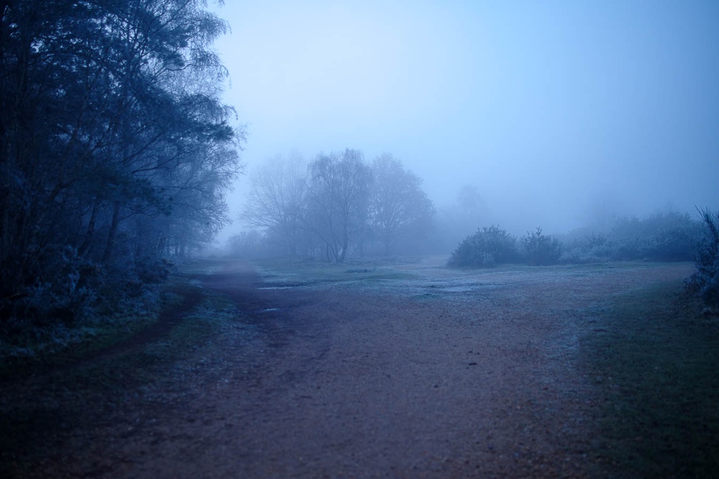 Nightfall on Foggy Heathland - pk112341
