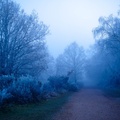 fog-nightfall-sam35-pk112339-g-Enhanced-RD-NR-1.jpg