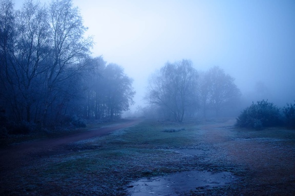 Nightfall on Foggy Heathland - pk112336