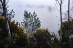 Fog at Dusk over Lake - pk112323
