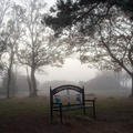 bench-fog-sam35-pk112278-g-Enhanced-NR-1.jpg