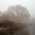 Freezing Fog at Pond - pk112249