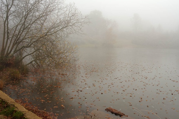 Freezing Fog at Pond - pk112248