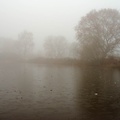 Freezing Fog at Pond - pk112244