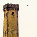 kestrel-tower-sp60-300-6d7154-g-Enhanced-NR.jpg