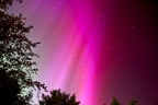 Aurora Borealis in the East - PK12630