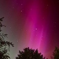 Aurora Borealis in the East - PK12625