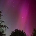 Aurora Borealis in the East - PK12627