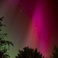 Northern Lights in the East - PK12626