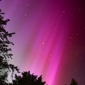 Northern Lights in the East - PK12632
