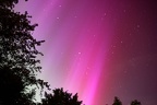 Aurora Borealis in the East - PK12633