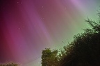 Aurora Borealis in the West - PK12635